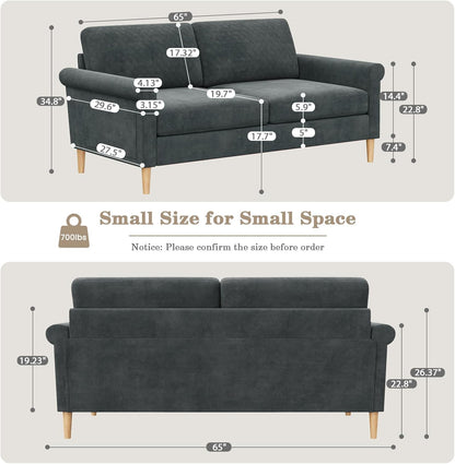 165cm Light Gray Loveseat, Comfy Mid-Century Modern 2-Seat Sofa, No-Tool Assembly Small Couch for Living Room & Bedroom